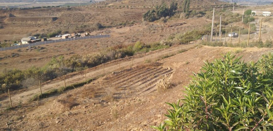 Lote de 6.831 m2 en Lomas del Hinojal con agua potabilizada – Vicuña