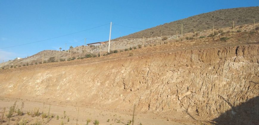 Lote de 6.831 m2 en Lomas del Hinojal con agua potabilizada – Vicuña