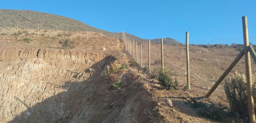 Lote de 6.831 m2 en Lomas del Hinojal con agua potabilizada – Vicuña
