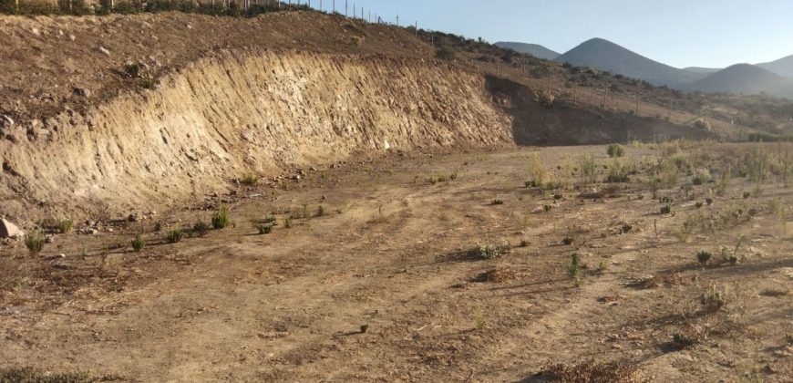 Lote de 6.831 m2 en Lomas del Hinojal con agua potabilizada – Vicuña