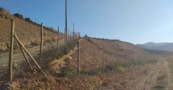 Lote de 6.831 m2 en Lomas del Hinojal con agua potabilizada – Vicuña