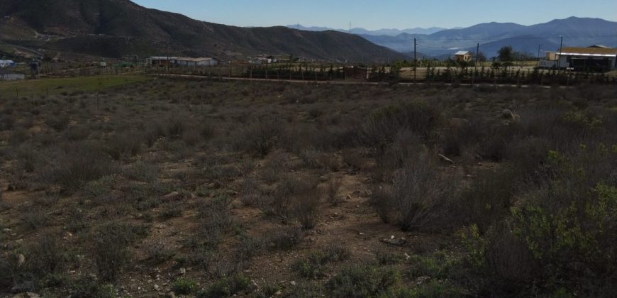 Terreno de 5.029 m², Estancia La Animas, Valle de Elqui