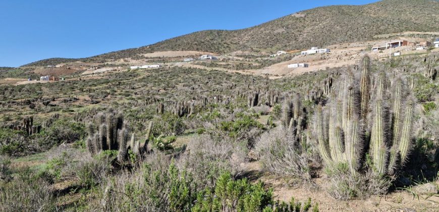 Parcela 5017 m2 Condominio La Varilla – La Serena