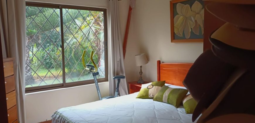 Parcela 5.200 m2, Gabriela Mistral con luz y agua – Vicuña