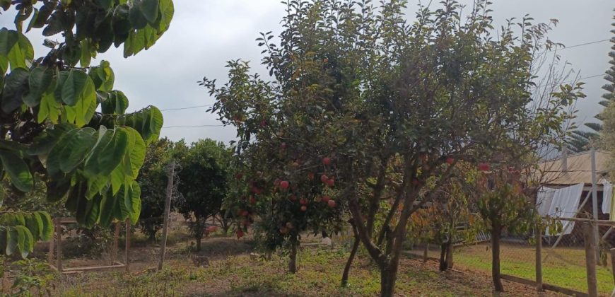 Parcela 5.200 m2, Gabriela Mistral con luz y agua – Vicuña