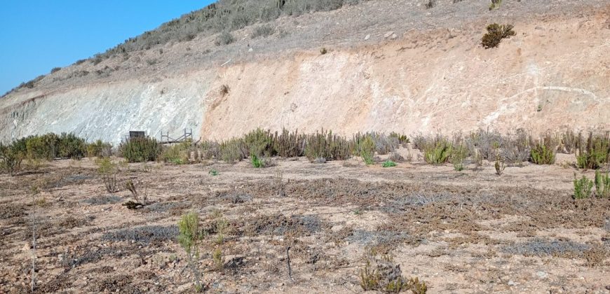 Parcela 5.722 m² con luz y agua – El Hinojal, La Serena