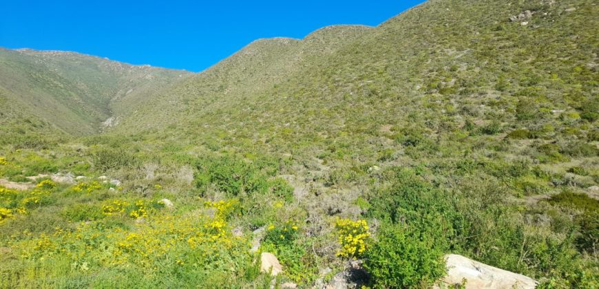Lote de 5006 m² en el sector Arrayán Costero – La Serena