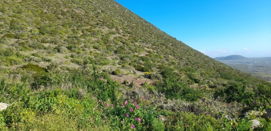 Lote de 5006 m² en el sector Arrayán Costero – La Serena