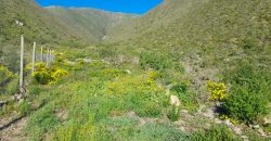 Lote de 5006 m² en el sector Arrayán Costero – La Serena