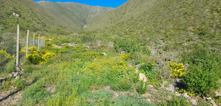 Lote de 5006 m² en el sector Arrayán Costero – La Serena