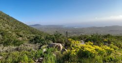 Lote de 5006 m² en el sector Arrayán Costero – La Serena