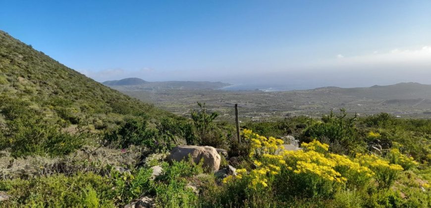 Lote de 5006 m² en el sector Arrayán Costero – La Serena