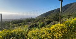 Lote de 5006 m² en el sector Arrayán Costero – La Serena
