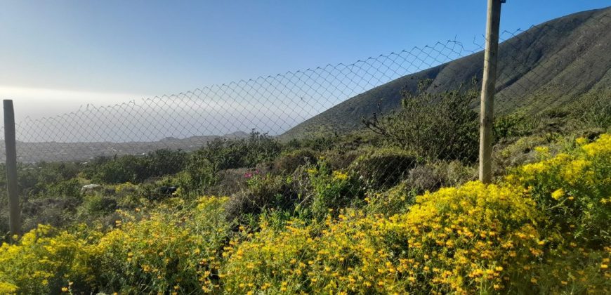 Lote de 5006 m² en el sector Arrayán Costero – La Serena
