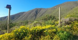 Lote de 5006 m² en el sector Arrayán Costero – La Serena