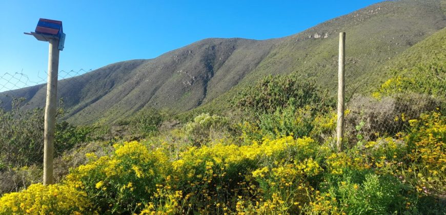 Lote de 5006 m² en el sector Arrayán Costero – La Serena
