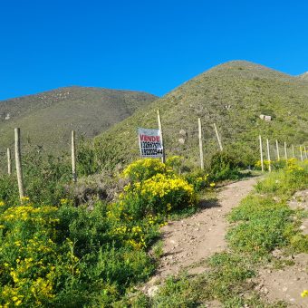 Lote de 5006 m² en el sector Arrayán Costero – La Serena
