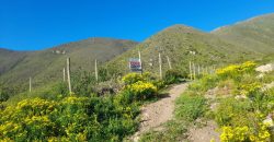 Lote de 5006 m² en el sector Arrayán Costero – La Serena