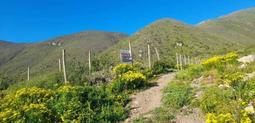 Lote de 5006 m² en el sector Arrayán Costero – La Serena