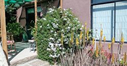 Venta de casa en el Valle de Elqui, La Campana – Vicuña