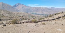 Parcela de 6.700m² en el Valle de Elqui, a 1km del Observatorio Mamalluca – Vicuña