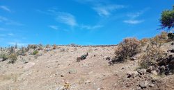 Parcela de 6.700m² en el Valle de Elqui, a 1km del Observatorio Mamalluca – Vicuña