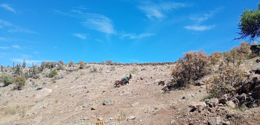 Parcela de 6.700m² en el Valle de Elqui, a 1km del Observatorio Mamalluca – Vicuña