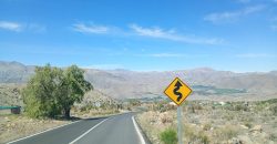 Parcela de 6.700m² en el Valle de Elqui, a 1km del Observatorio Mamalluca – Vicuña