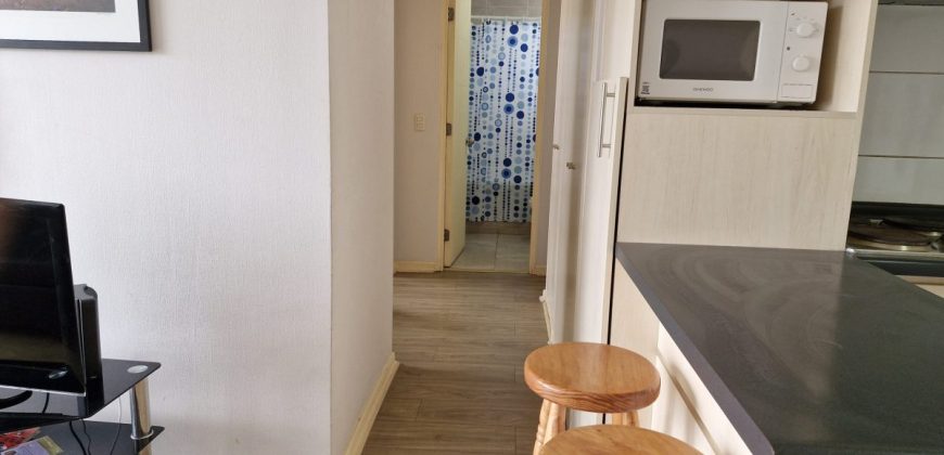 Departamento Amoblado 2D/1B en Condominio Alto Serena – Sector Puerta del Mar, La Serena