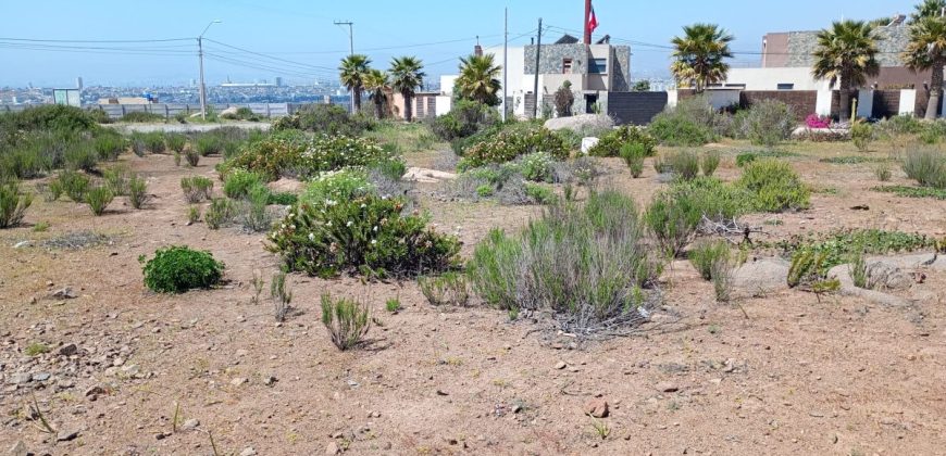 Sitio urbano de 2.184 m² en La Puntilla de La Herradura – Coquimbo