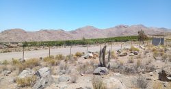 Terreno de 10.200 m², acciones de agua en Mamalluca, Valle de Elqui – Vicuña