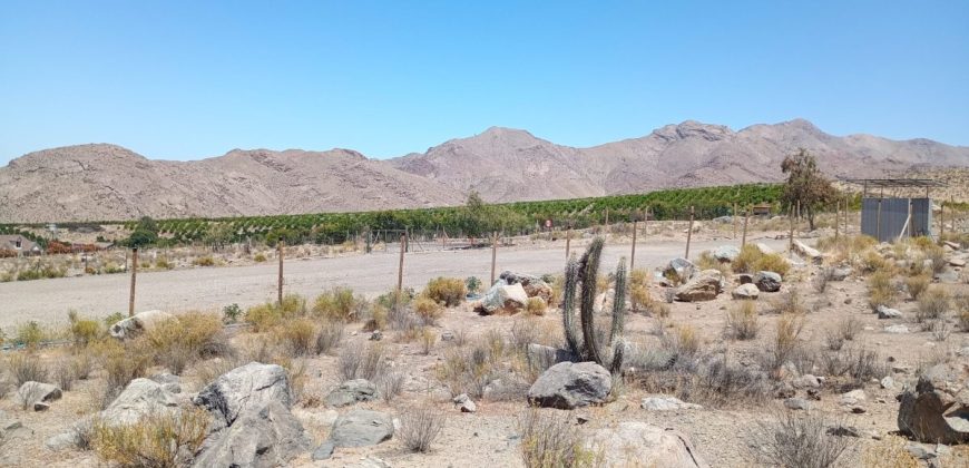 Terreno de 10.200 m², acciones de agua en Mamalluca, Valle de Elqui – Vicuña