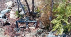 Terreno de 10.200 m², acciones de agua en Mamalluca, Valle de Elqui – Vicuña