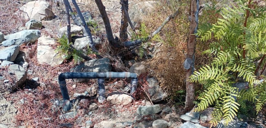 Terreno de 10.200 m², acciones de agua en Mamalluca, Valle de Elqui – Vicuña
