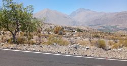 Terreno de 10.200 m², acciones de agua en Mamalluca, Valle de Elqui – Vicuña