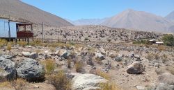 Terreno de 10.200 m², acciones de agua en Mamalluca, Valle de Elqui – Vicuña