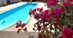 Parcela 6.438 m² La Campana Valle de Elqui, con luz y agua, construcción de ladrillo, piscina y frutales.