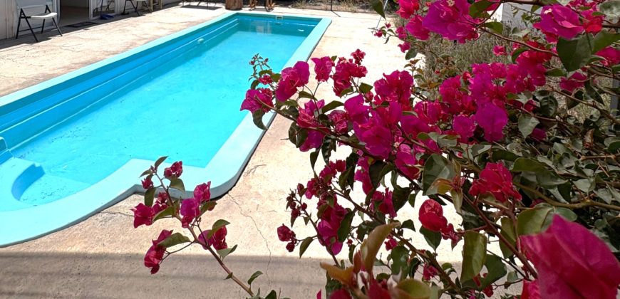 Parcela 6.438 m² La Campana Valle de Elqui, con luz y agua, construcción de ladrillo, piscina y frutales.