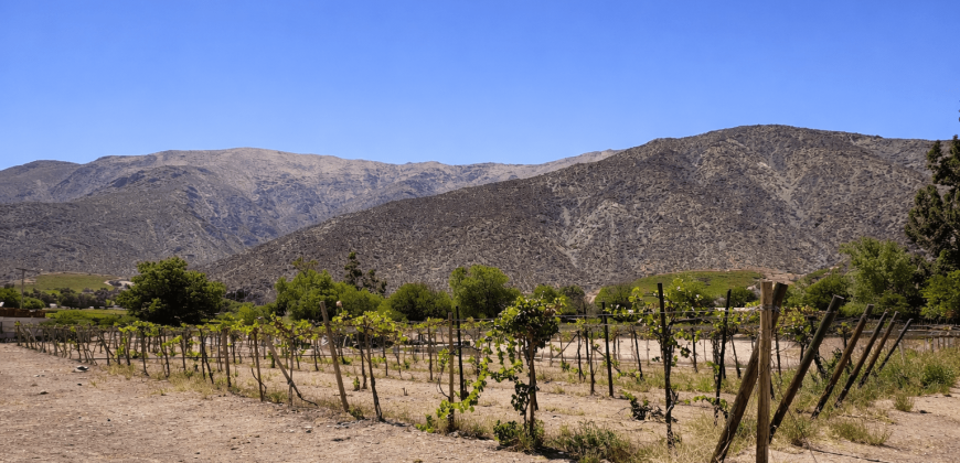 Parcela 6.438 m² La Campana Valle de Elqui, con luz y agua, construcción de ladrillo, piscina y frutales.