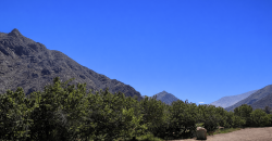 Parcela 6.438 m² La Campana Valle de Elqui, con luz y agua, construcción de ladrillo, piscina y frutales.