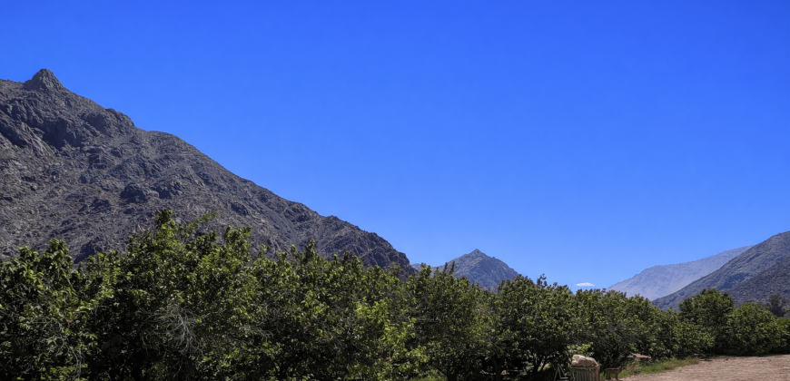 Parcela 6.438 m² La Campana Valle de Elqui, con luz y agua, construcción de ladrillo, piscina y frutales.
