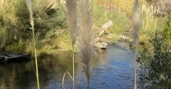 Parcela en Venta – Valle de Cochiguaz, Paihuano