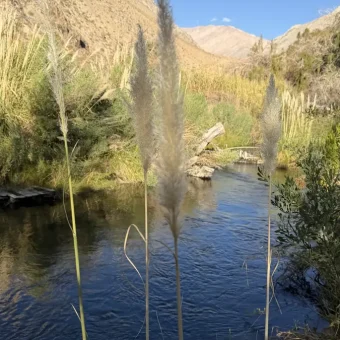 Parcela en Venta – Valle de Cochiguaz, Paihuano