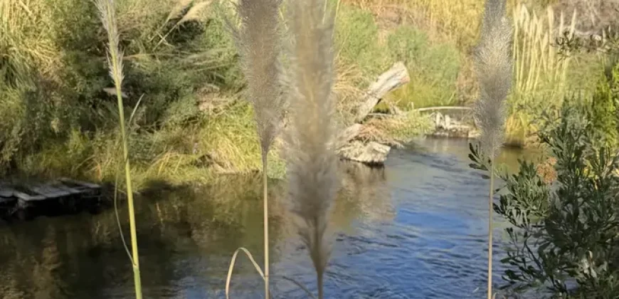 Parcela en Venta – Valle de Cochiguaz, Paihuano