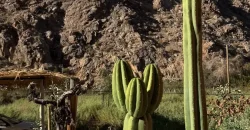 Parcela en Venta – Valle de Cochiguaz, Paihuano