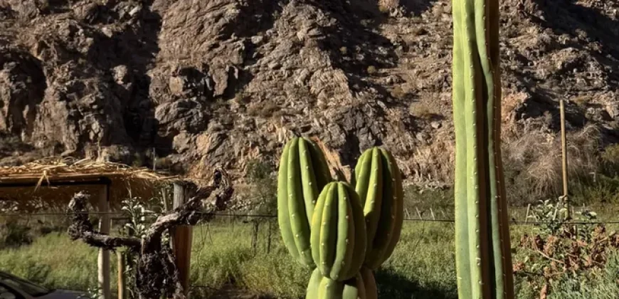 Parcela en Venta – Valle de Cochiguaz, Paihuano