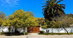 Terreno Urbano en Alfalfares, La Serena | 1.836 m² | 49 m de Frente |