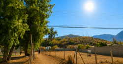 SITIO URBANO EN VENTA EN VICUÑA | 1.060 m² EN PRIMERA LÍNEA