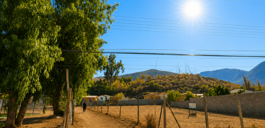 SITIO URBANO EN VENTA EN VICUÑA | 1.060 m² EN PRIMERA LÍNEA
