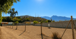 SITIO URBANO EN VENTA EN VICUÑA | 1.060 m² EN PRIMERA LÍNEA